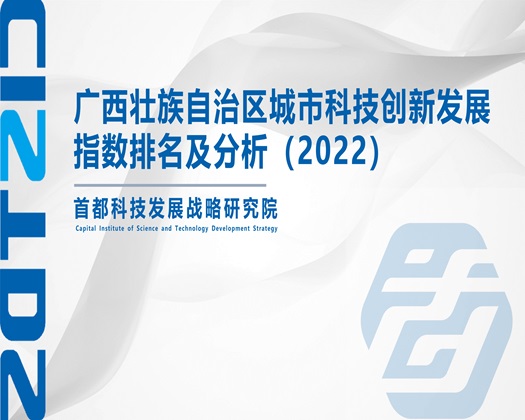 屄洞洞图片【成果发布】广西壮族自治区城市科技创新发展指数排名及分析（2022）